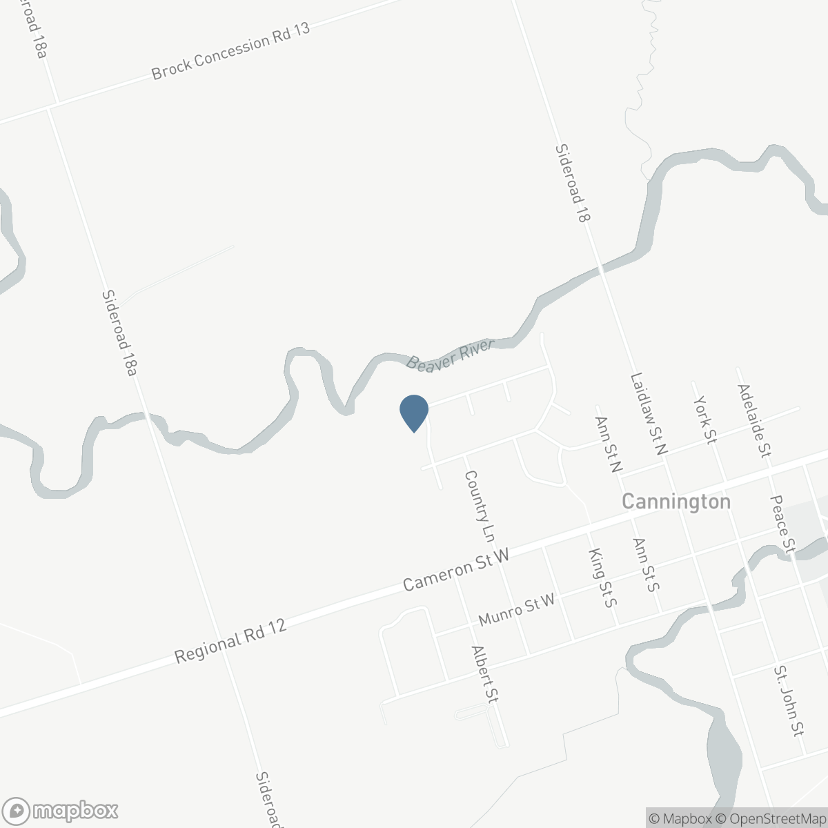 93 RIVERLEA ROAD, Cannington, Ontario L0E 1E0